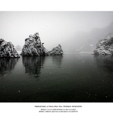 dailyPhoto23