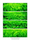 dailyPhoto25