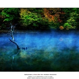dailyPhoto20