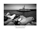 dailyPhoto20