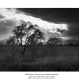 dailyPhoto7