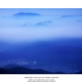 dailyPhoto5