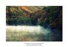 dailyPhoto8