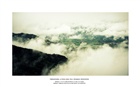 dailyPhoto8