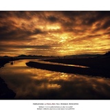 dailyPhoto13