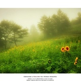 dailyPhoto24