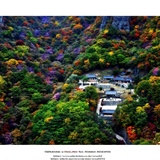 dailyPhoto1