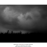 dailyPhoto11