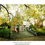 dailyPhoto11