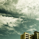dailyPhoto35
