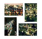 dailyPhoto10