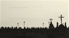 dailyPhoto5
