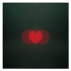 dailyPhoto5
