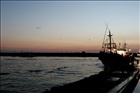 photo1