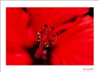 dailyPhoto19