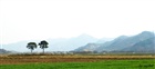 dailyPhoto31