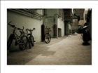 dailyPhoto40