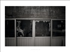 dailyPhoto3