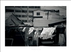 dailyPhoto25