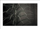 dailyPhoto32