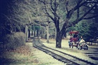 dailyPhoto16
