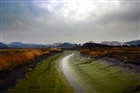 dailyPhoto10
