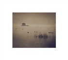 dailyPhoto22