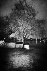 dailyPhoto19