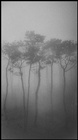 dailyPhoto30