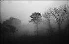 dailyPhoto7