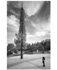 dailyPhoto11