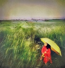 dailyPhoto5