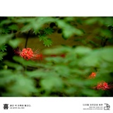 dailyPhoto16