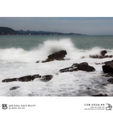 dailyPhoto10
