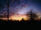 dailyPhoto8
