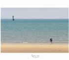 dailyPhoto34