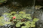 dailyPhoto14