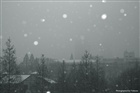 dailyPhoto38
