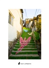 dailyPhoto4