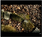dailyPhoto19