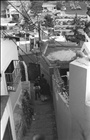photo1