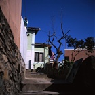dailyPhoto33