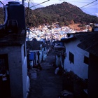 dailyPhoto26