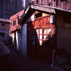 dailyPhoto13