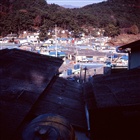 dailyPhoto7