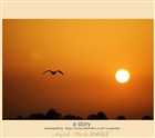 dailyPhoto11