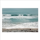 dailyPhoto6