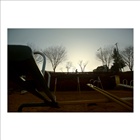 dailyPhoto23