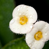 dailyPhoto26