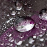 dailyPhoto8
